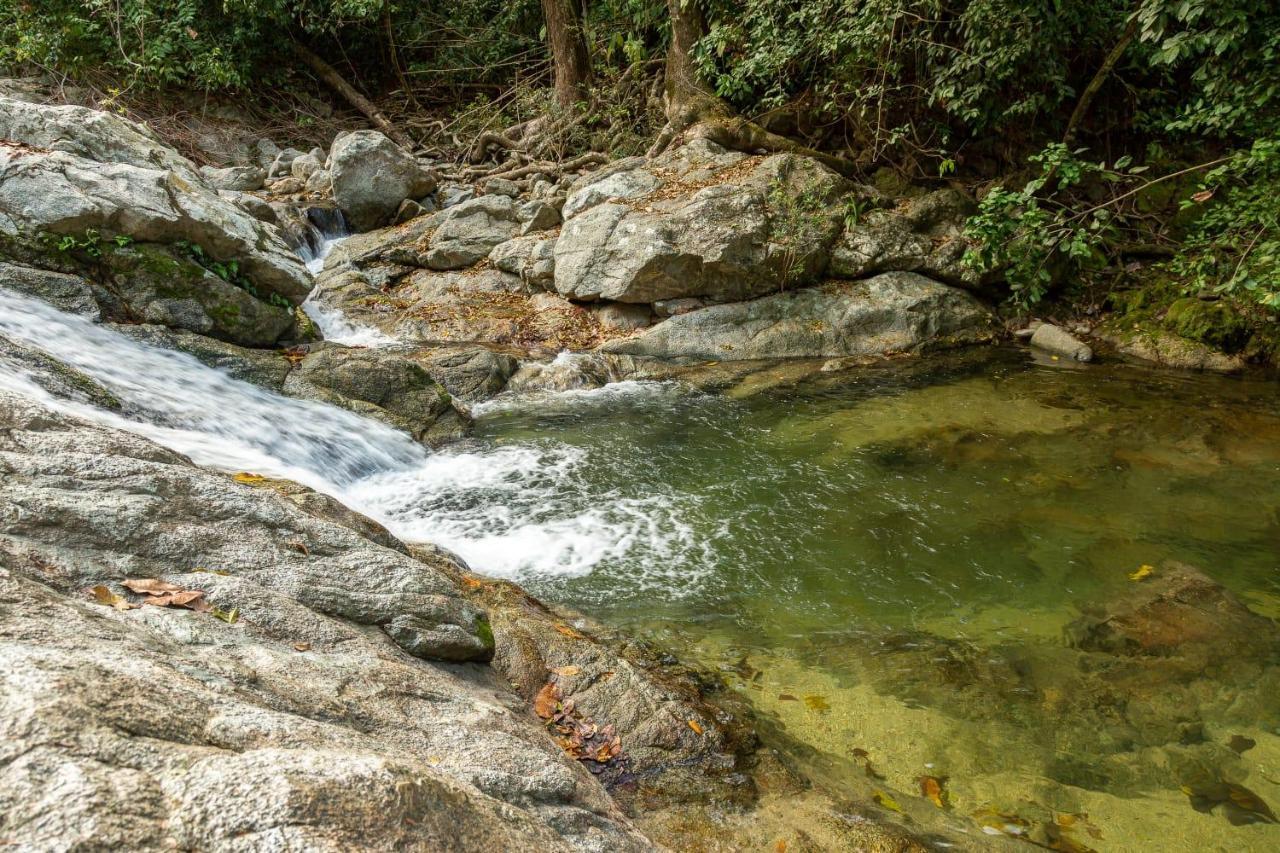 Deep Forest Posadas Ecoturisticas El Zaino Bagian luar foto